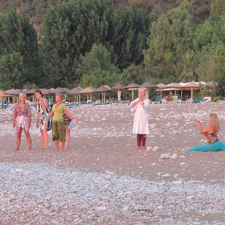 Baris & Tatil parkı 2*