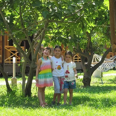 Baris & Tatil parkı 2*