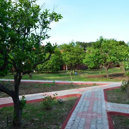 Baris & Tatil parkı Çıralı