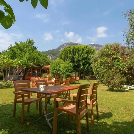 Tatil parkı Baris &