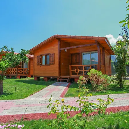 Baris & Tatil parkı 2*